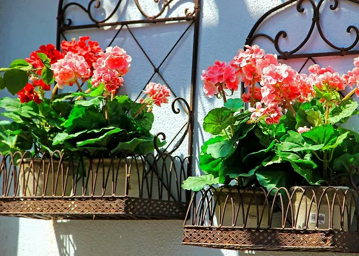 Ξενοδοχείο Boutique Kentrikon & Άγιος Ιωάννης