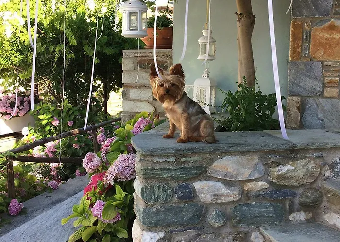 Boutique Kentrikon & Άγιος Ιωάννης