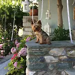 Boutique Kentrikon & Agios Ioannis (Thessaly)