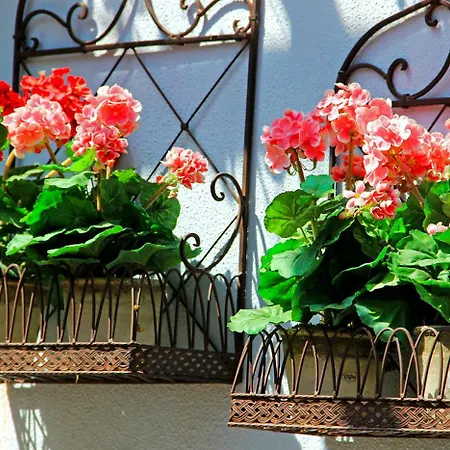 Hotel Boutique Kentrikon & Agios Ioannis (Thessaly)