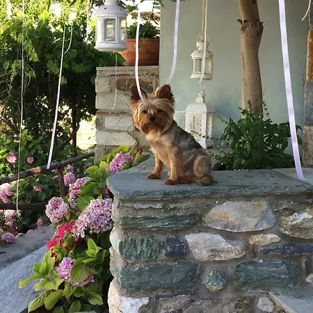 Boutique Kentrikon & Agios Ioannis (Thessaly)